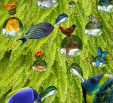 Load image into Gallery viewer, Neck gaiter - colorful, creative, fish, ferns, face mask, face shield