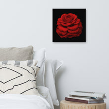 Load image into Gallery viewer, Canvas Print: Red Camellia