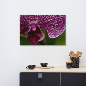Canvas - Gorgeous Purple Orchid Print - Brighten up any room!