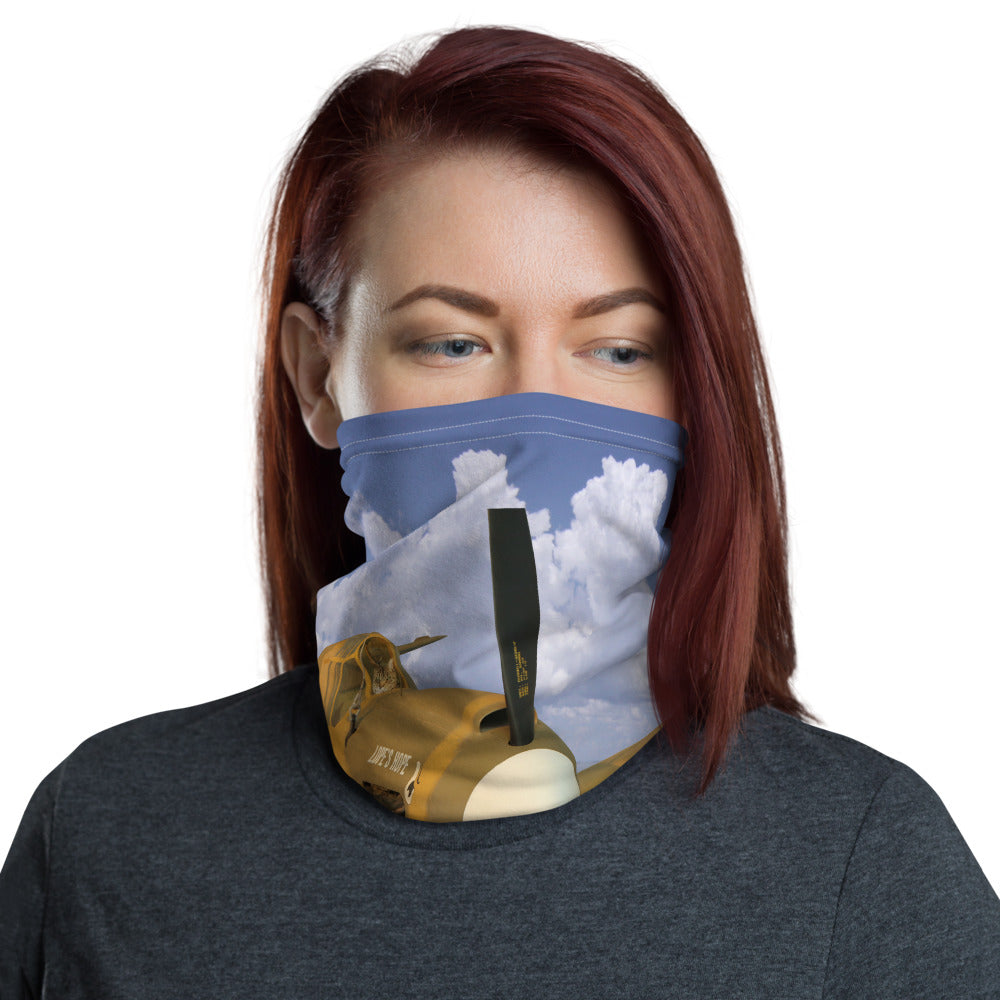 Neck gaiter - face shield, face protector, bandana, face mask, cat flying an airplane